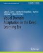 Visual Domain Adaptation In The Deep Learning Era - Preview