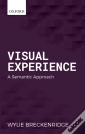 Visual Experience
