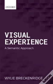 Capa do artigo Visual Experience