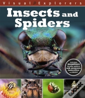 Capa do artigo Visual Explorers: Insects And Spiders