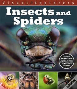 Capa do artigo Visual Explorers: Insects And Spiders
