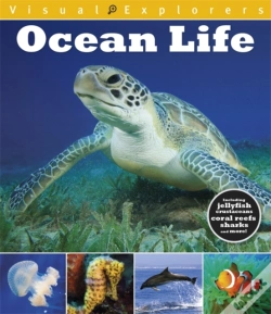 Capa do artigo Visual Explorers: Ocean Life