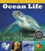 Visual Explorers: Ocean Life - Preview