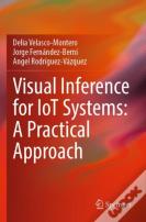 Visual Inference For Iot Systems: A Practical Approach