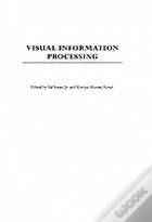 Visual Information Processing