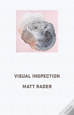 Capa do artigo Visual Inspection