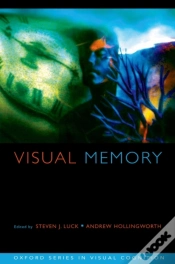 Capa do artigo Visual Memory