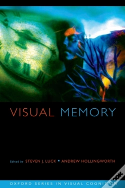 Capa do artigo Visual Memory