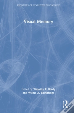 Capa do artigo Visual Memory