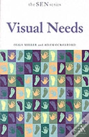 Capa do artigo Visual Needs