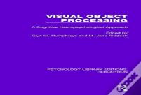 Visual Object Processing