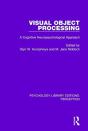 Visual Object Processing - Preview