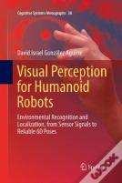 Visual Perception For Humanoid Robots