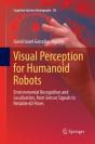 Visual Perception For Humanoid Robots - Preview