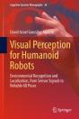 Visual Perception For Humanoid Robots - Preview