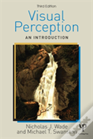 Visual Perception