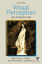 Visual Perception - Preview