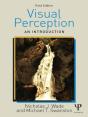 Visual Perception - Preview