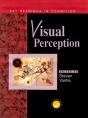 Visual Perception - Preview