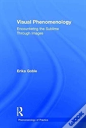 Visual Phenomenology