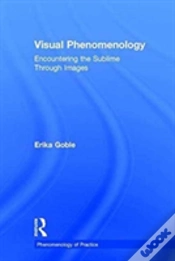 Capa do artigo Visual Phenomenology