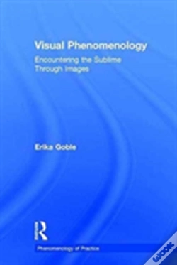 Capa do artigo Visual Phenomenology
