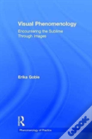 Visual Phenomenology