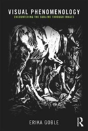 Visual Phenomenology - Preview
