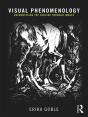 Visual Phenomenology - Preview