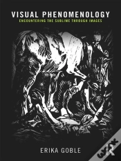 Capa do artigo Visual Phenomenology