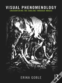 Capa do artigo Visual Phenomenology