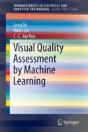 Visual Quality Assessment By Machine Learning - Preview