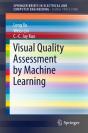 Visual Quality Assessment By Machine Learning - Preview