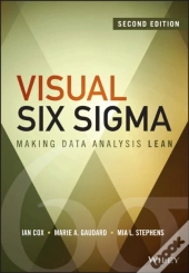 Visual Six Sigma