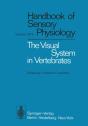 Visual System In Vertebrates - Preview