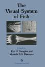 Visual System Of Fish - Preview