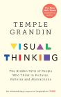 Visual Thinking - Preview