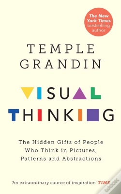 Capa do artigo Visual Thinking