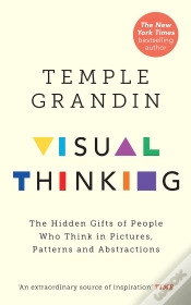 Capa do artigo Visual Thinking