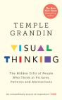 Visual Thinking - Preview