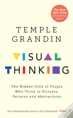 Capa do artigo Visual Thinking