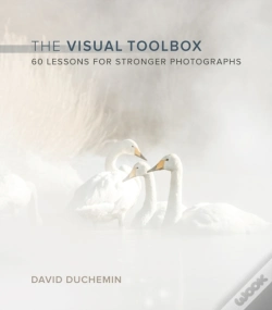 Capa do artigo Visual Toolbox, The