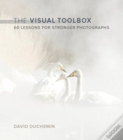 Capa do artigo Visual Toolbox, The