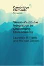 Visual-Vestibular Integration In Challenging Environments - Preview