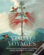Capa do artigo Visual Voyages