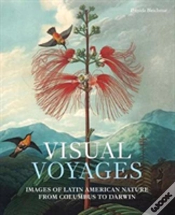 Capa do artigo Visual Voyages
