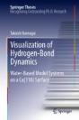 Visualization Of Hydrogen-Bond Dynamics - Preview