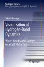 Visualization Of Hydrogen-Bond Dynamics - Preview