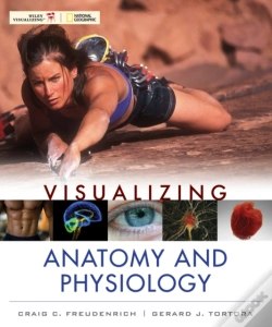 Capa do artigo Visualizing Anatomy And Physiology