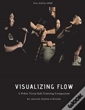 Visualizing Flow